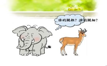 比较粗细中班数学教案7篇