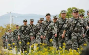 带队教师总结推荐6篇