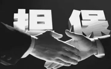 担保合同与保证合同参考7篇