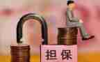 担保合同与保证合同优秀5篇