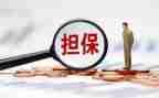 个人借款担保合同7篇