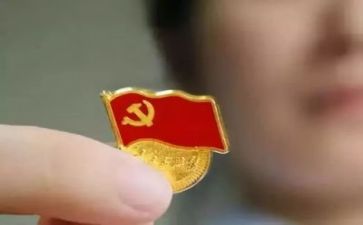 主题党日的活动总结8篇