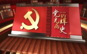 党吏心得体会1000字模板5篇