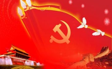 党工作总结模板6篇