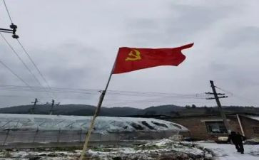 从村党员转正申请书精选7篇