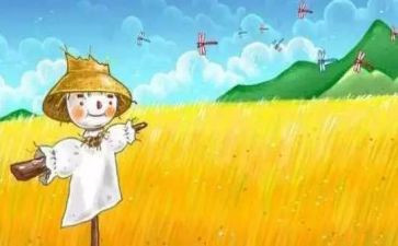 稻草稻草人读后感8篇