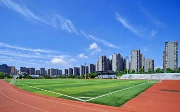 大学心理心得体会800字8篇