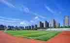 大学老师2024年工作计划6篇