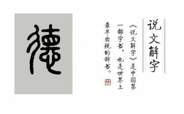 德育鉴定表自我鉴定优质5篇