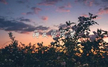 论2023得与失工作报告7篇