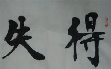 得与失优秀作文参考5篇