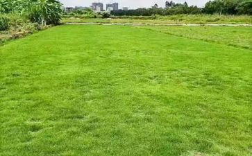 转让土地合同模板5篇