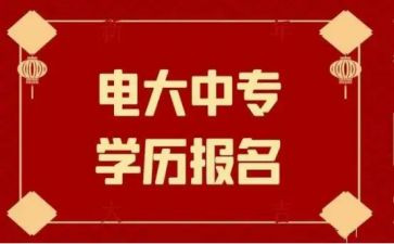 电大学生工作计划模板7篇