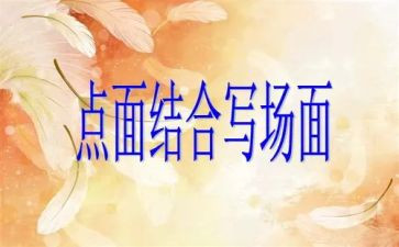 点面结合的优秀作文推荐7篇