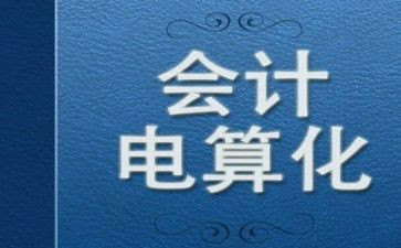 电算化实训心得体会6篇