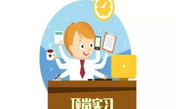 顶岗实习个人心得体会最新6篇