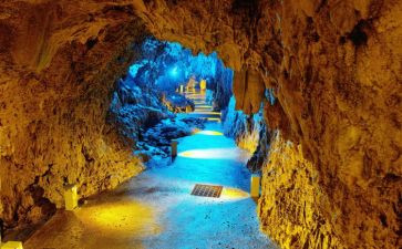 《洞》第一章读后感5篇