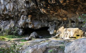 《洞》这本书的读后感最新6篇