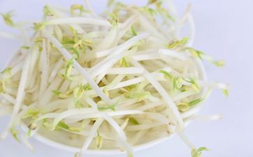 小学发豆芽作文6篇