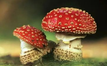 法制教育禁毒心得体会8篇