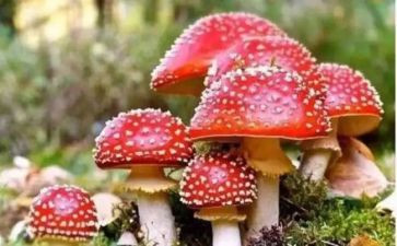 村禁毒工作总结范文7篇
