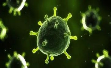新冠病毒疫情心得5篇