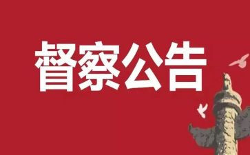学校督查队工作总结5篇