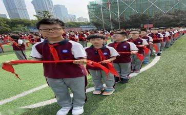 优秀团少先队员事迹材料范文5篇