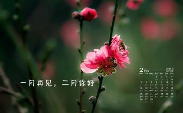 十二月份幼儿园工作计划7篇