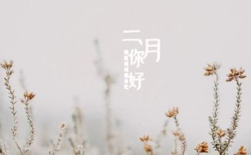 十二月份中班工作总结6篇