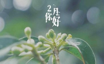 幼儿十二月工作总结8篇