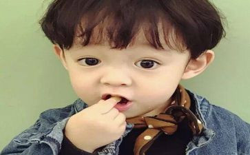 我的儿子叫皮卡读后感6篇