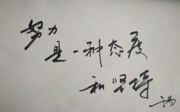 工作报告总结与反思8篇