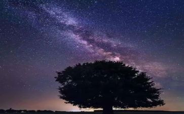读繁星春水的读后感模板6篇
