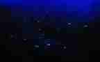 繁星五读后感优秀6篇