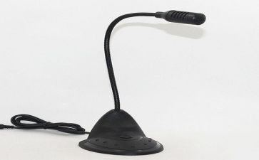 发言稿作文800范文5篇