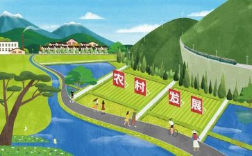 教师发展的心得体会最新5篇