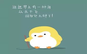 供肥料合同8篇
