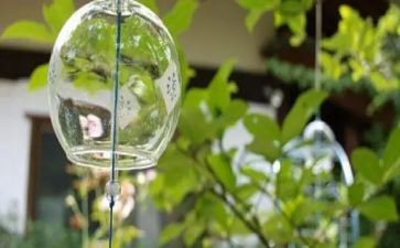 纸风铃蝉读后感7篇