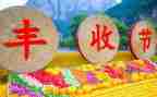 丰收节作文300字7篇