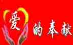 以奉献的演讲稿优质6篇