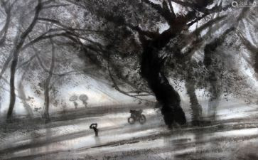 风雨作文800字7篇