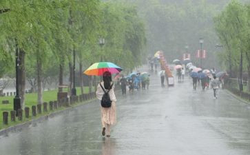 在风雨中作文600字5篇