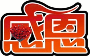 感恩的演讲稿300字7篇