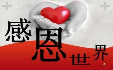 对感恩的演讲稿600字8篇