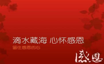 感恩的人作文400字7篇