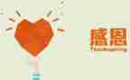 感恩教师的活动总结6篇