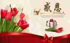 对老师感恩的作文500字7篇