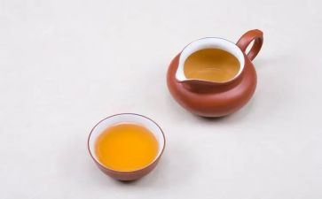 纲要课心得体会5篇