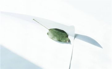 幼儿园小班爱干净教案7篇